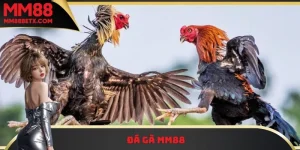 Đá gà MM88